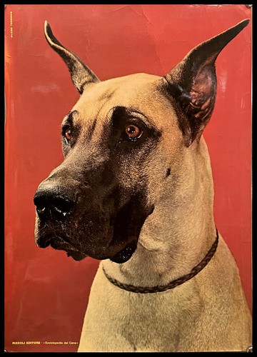 1990ca manifesto poster - *,