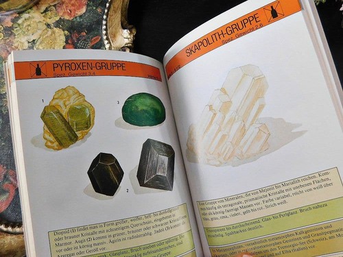 Enciclopedia illustrata - ゚+,